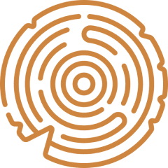 Abstract circular maze on black background.